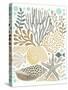 Under Sea Treasures VI Gold Neutral-Michael Mullan-Stretched Canvas