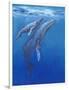 Under Sea Whales I-Tim O'toole-Framed Art Print