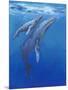 Under Sea Whales I-Tim O'toole-Mounted Art Print