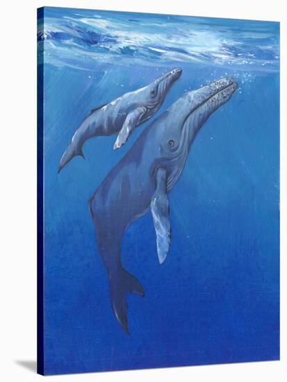 Under Sea Whales I-Tim O'toole-Stretched Canvas