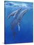 Under Sea Whales I-Tim O'toole-Stretched Canvas