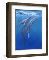 Under Sea Whales I-Tim O'toole-Framed Art Print