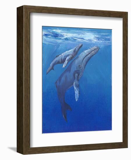 Under Sea Whales I-Tim O'toole-Framed Art Print