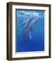 Under Sea Whales I-Tim O'toole-Framed Art Print