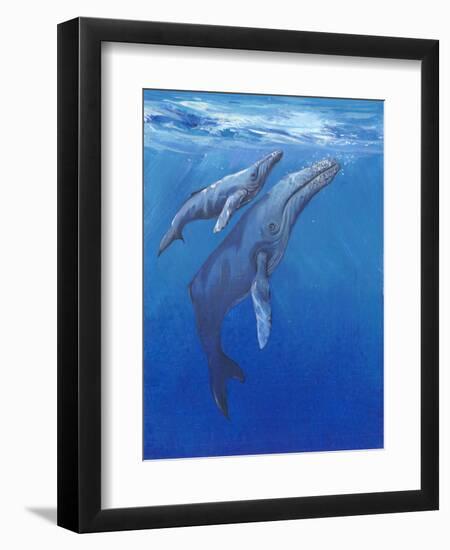 Under Sea Whales I-Tim O'toole-Framed Art Print