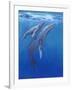 Under Sea Whales I-Tim O'toole-Framed Art Print