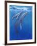 Under Sea Whales I-Tim O'toole-Framed Art Print