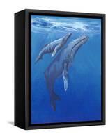 Under Sea Whales I-Tim O'toole-Framed Stretched Canvas