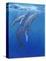 Under Sea Whales I-Tim O'toole-Stretched Canvas