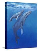 Under Sea Whales I-Tim O'toole-Stretched Canvas
