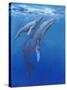 Under Sea Whales I-Tim O'toole-Stretched Canvas