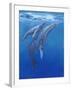 Under Sea Whales I-Tim O'toole-Framed Art Print