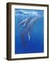 Under Sea Whales I-Tim O'toole-Framed Art Print