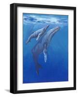 Under Sea Whales I-Tim O'toole-Framed Art Print