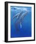 Under Sea Whales I-Tim O'toole-Framed Art Print