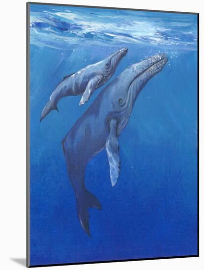 Under Sea Whales I-Tim O'toole-Mounted Art Print