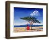 Under the Acacia Tree, 1991-Tilly Willis-Framed Giclee Print