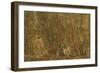 Under the Alders, 1904-Jean-Baptiste-Camille Corot-Framed Giclee Print