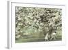 Under the Apple Blossom Tree-Betsy Cameron-Framed Art Print