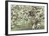 Under the Apple Blossom Tree-Betsy Cameron-Framed Art Print