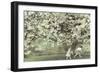 Under the Apple Blossom Tree-Betsy Cameron-Framed Art Print