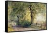 Under the Beeches-John Steeple-Framed Stretched Canvas