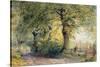 Under the Beeches-John Steeple-Stretched Canvas