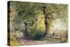 Under the Beeches-John Steeple-Stretched Canvas
