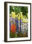 Under the Branch I-Allan Friedlander-Framed Art Print