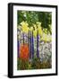 Under the Branch I-Allan Friedlander-Framed Art Print