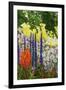 Under the Branch I-Allan Friedlander-Framed Art Print