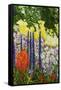 Under the Branch I-Allan Friedlander-Framed Stretched Canvas