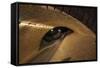 Under the Bridge-Sebastien Lory-Framed Stretched Canvas