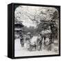 Under the Cherry Blossoms, Looking Northeast Along the Main Avenue of Shiba Park, Tokyo, Japan-Underwood & Underwood-Framed Stretched Canvas