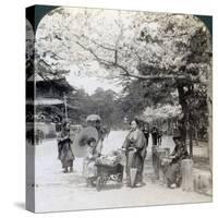 Under the Cherry Blossoms, Looking Northeast Along the Main Avenue of Shiba Park, Tokyo, Japan-Underwood & Underwood-Stretched Canvas