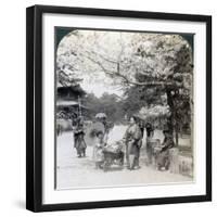 Under the Cherry Blossoms, Looking Northeast Along the Main Avenue of Shiba Park, Tokyo, Japan-Underwood & Underwood-Framed Photographic Print