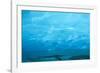 Under the Glacier, Perito Moreno, Argentina, South America-Mark Chivers-Framed Photographic Print