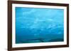 Under the Glacier, Perito Moreno, Argentina, South America-Mark Chivers-Framed Photographic Print