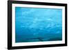 Under the Glacier, Perito Moreno, Argentina, South America-Mark Chivers-Framed Photographic Print