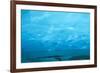 Under the Glacier, Perito Moreno, Argentina, South America-Mark Chivers-Framed Photographic Print