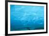 Under the Glacier, Perito Moreno, Argentina, South America-Mark Chivers-Framed Photographic Print