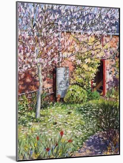 Under the Magnolia-Tilly Willis-Mounted Giclee Print