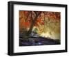 Under the Maple Tree-Jessica Jenney-Framed Giclee Print