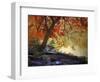 Under the Maple Tree-Jessica Jenney-Framed Giclee Print