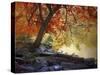 Under the Maple Tree-Jessica Jenney-Stretched Canvas