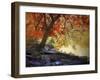 Under the Maple Tree-Jessica Jenney-Framed Giclee Print