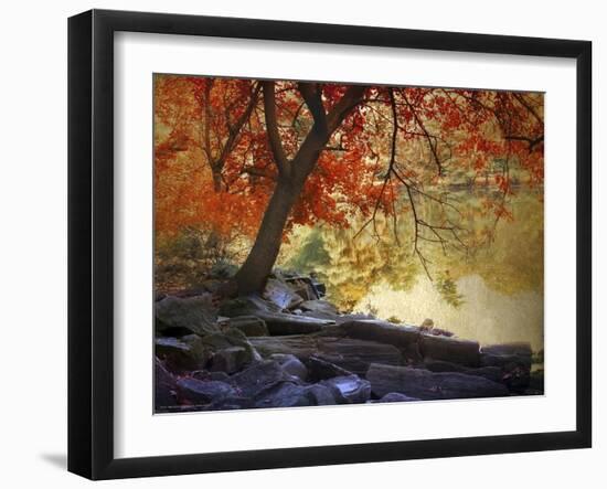 Under the Maple Tree-Jessica Jenney-Framed Giclee Print