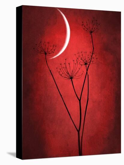 Under the Moon 2-Philippe Sainte-Laudy-Stretched Canvas