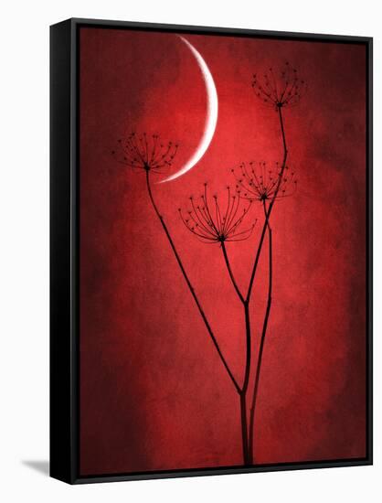 Under the Moon 2-Philippe Sainte-Laudy-Framed Stretched Canvas