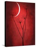 Under the Moon 2-Philippe Sainte-Laudy-Stretched Canvas